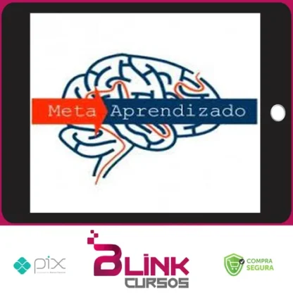 Meta Aprendizado Acelerado - Marcelo Maia