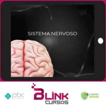 Fisiologia do Sistema Nervoso - Fisiologia Didática