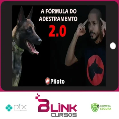 Fórmula Do Adestramento 2.0 - Dionatas Piloto