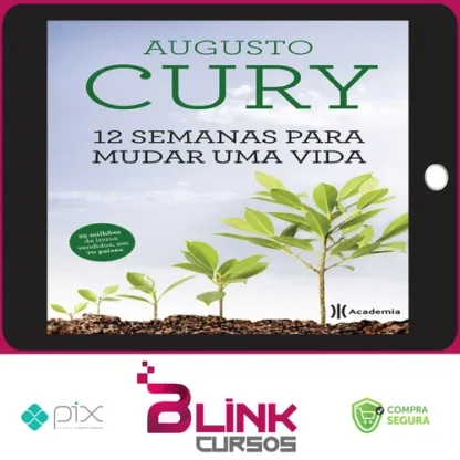 12 Semanas para Mudar uma Vida - Augusto Cury