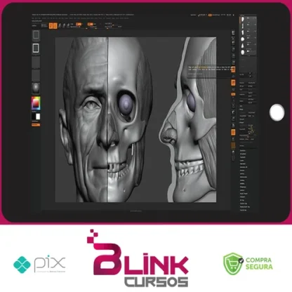Facial Anatomy - Scott Eaton [INGLÊS]