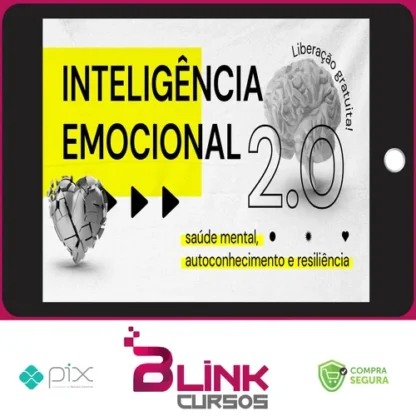 Inteligência Emocional 2.0 - Escola Conquer
