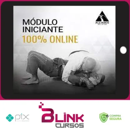 Metodologia Alliance de Ensino: Módulo Iniciantes - Alliance