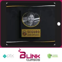 Seguro Com Opções (Curso Definitivo) - Vicente Guimarães