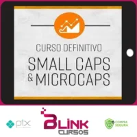 Como Investir Em Small Caps e Microcaps - Vicente Guimarães