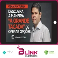 Financeiro A Grande Tacada 9ª Edição - Fernando Góes