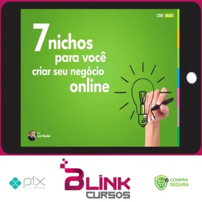 7 Nichos para Você Criar seu Negócio Online - Luiz Nicolak