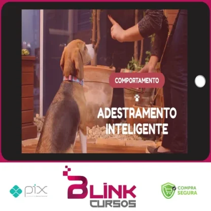 Adestramento Inteligente - Alexandre Rossi