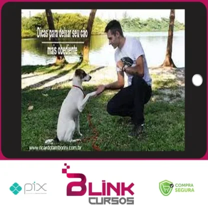 Desafio Cão Obediente - Marcelo Bessa