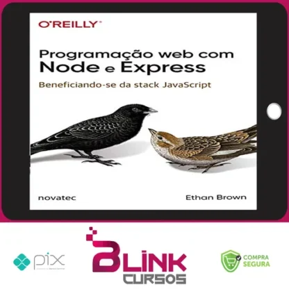 Programação Web com Node e Express: Beneficiando-Se da Stack Javascript - Ethan Brown