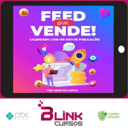 Feed que Vende - Sirlei dos Santos