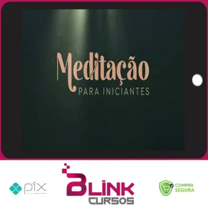 Meditação Para Iniciantes - Evelyn Penna