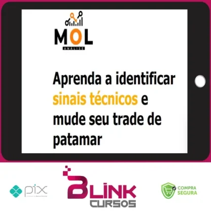 Combo Livro Mol + Curso Day Trade Discricionário - Bruno Rafael