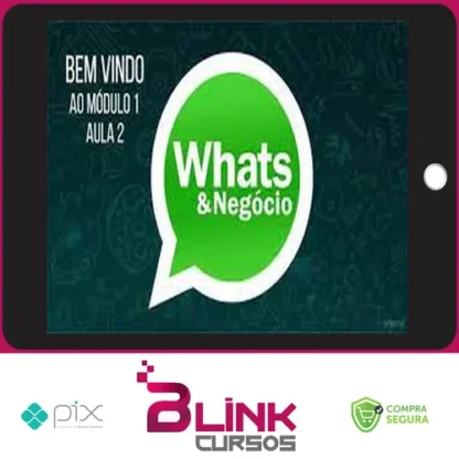 Como Vender Mais Usando o Whatsapp - Luiz Felipe Castro