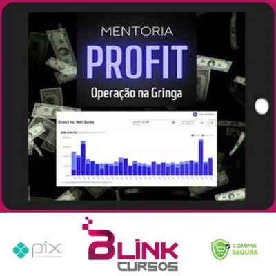 Mentoria Meta Profit - Bruno Henrique