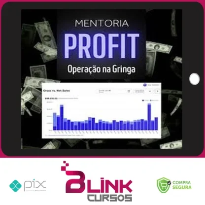 Mentoria Meta Profit - Bruno Henrique